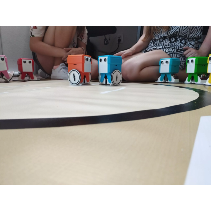 Mata edukacyjna - arena